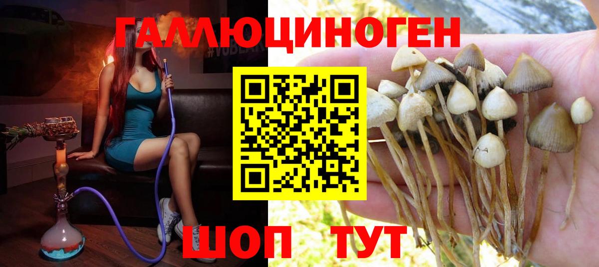 Галлюциногенные грибы MAGIC MUSHROOMS  Вход с VPN  Назарово 